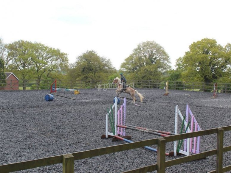 North Worcestershire Equestrian Centre, prices and bookings 2024